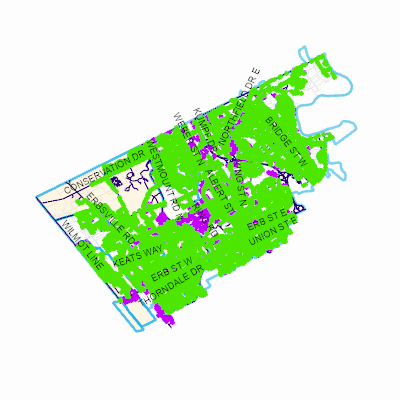 Export Image